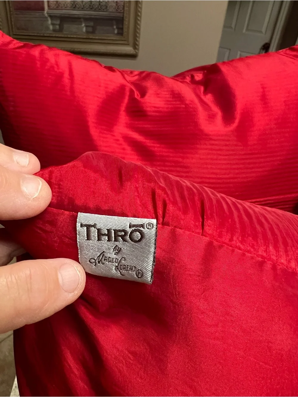 THRO by Marlo Lorenz Two Red Decorative Feather Pillows
